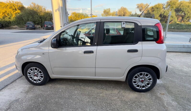 FIAT – Panda –  1.2 Easy pieno